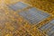 Sidewalk with inset metal grates, covered with tiny yellow leaves, urban fall seasonal background