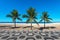 Sidewalk of Ipanema Beach and Palm Trees