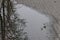 On the sidewalk, in a large puddle after rain, the surrounding nature is reflected.