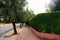 Sidewalk Lined with Green Trees and Shrubs beside a Street in Marrakesh Morocco