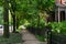 Sidewalk next to Old Homes with Green Plants and Trees in Wicker Park Chicago