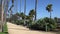 Sidewalk in a park near Santa Monica Beach. Alley with Tall Californian palm trees on sunny day. USA