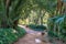 Sidewalk on the Paseo del Parque in Malaga, Spain with palm tree jungle