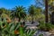 Sidewalk on the Paseo del Parque in Malaga, Spain with palm trees and Strelitzia flowers