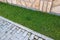 Sidewalk paved with cement bricks and lawn with green grass