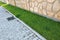 Sidewalk paved with cement bricks and lawn with green grass