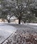 Sidewalk Snow Scene