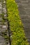 Sidewalk in street in Antigua Guatemala, natural light at dawn, outdoor concrete walk, public space.