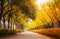 Sidewalk street in autumn