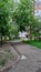 Sidewalk at the suburb that goes through blooming trees. Residential district with old soviet habitation. Path for a walk with no