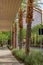 Sidewalk view of a palm tree lined downtown shopping area