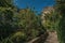 Sidewalk in wooded gardens of condos under sunny blue sky at Montmartre in Paris.