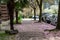 Sidewalks covered in fallen cherry blossom petals.