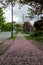 Sidewalks covered in fallen cherry blossom petals.