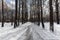 Sidewalks in the Ostankino Park.