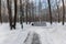 Sidewalks in the Ostankino Park. Moscow.