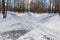 Sidewalks in the Ostankino Park. Moscow.