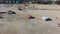 sideways aerial footage along the coastline at Rosie\\\'s Dog Beach with people walking along the beach and laying in the sand