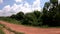 Sideways view of countryside vision from railway train