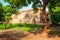 Sidi Saiyyed Jali Mosque, Ahmedabad