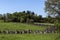 The Siegfried line or Westwall behind Aachen, Germany.