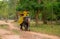 Siem Reap, Cambodia - 28 March 2018: Man in traditional cambodian clothes rides an elephant in forest.