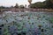 Siem Reap, Cambodia, December 18, 2018 a large group of tourists admire the pond on which the lotuses grow. People look at the