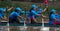 SIEM REAP, CAMBODIA - NOVEMBER, 2016: Team of women boat racers race towards the finish during traditional boat races in Cambod