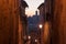 Siena on twilight