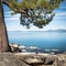 Sierra Nevada around Lake Tahoe framed with tree branches