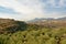 Sierra Nevada mountain landscape with olive trees under a blue sky with soft clouds