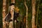 Sifaka on the tree, sunny day. Largest living lemur. Wildlife Madagascar, babakoto, Indri indri, monkey wide angle lens with