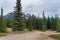 Siffleur Falls Trailhead in Kootenay Plains Ecological Reserve