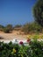 Sifnos Greek Island scene cup of coffee white wall with autumn