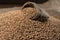 Sifted wheat grains, freshly harvested Ukrainian wheat crop in sackcloth