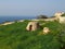 SIGGIEWI, MALTA - Mar 16, 2014: A Maltese girna. a traditional hut built from irregular stones in fields, by farmers for shelter