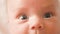 Sight of a newborn baby child`s eyes macro baby look close up shot