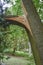 Sight of the splintered trunk of a fallen tree, which narrowly missed a house after heavy wind in Berlin