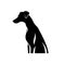 Sighthound Icon, Dog Black Silhouette, Puppy Pictogram, Pet Outline, Sighthound Symbol Isolated