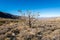 The sights of Death Valley National Park