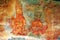 Sigiriya Frescoes - Sri Lanka UNESCO World Heritage