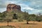 Sigiriya rock