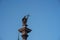 Sigismunds Column erected in 1643 and designed by Constantino Tencalla and Clemente Molli at Castle Square - Warsaw, Poland