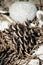 A sigle pine cone macro with white rocks in soft focus background