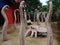 Sign, art and animal statue in Singapore Zoo