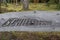 Sign on the backrest of a bench - It means Slate path , which is a short hiking trail arround the old slate mine in Lehesten