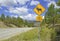 Sign for Bighorn sheep Rocky Mountains, Colorado