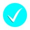 Sign checked badge icon. Simple glyph, flat vector of web icons for ui and ux, website or mobile application