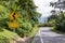 Sign curved road on the way at the natural Field Or forest. Warning attention Right curve sign at Rural highway. Road sign showing