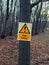Sign danger tree felling on tree in forest